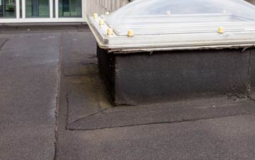 disadvantages of Eldernell flat roofs