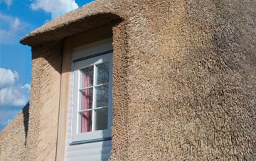 Eldernell thatch roof disadvantages